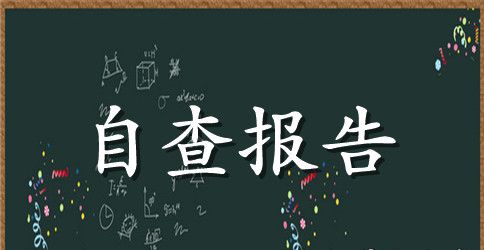 常规工作自评报告