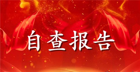 公车私用自查报告