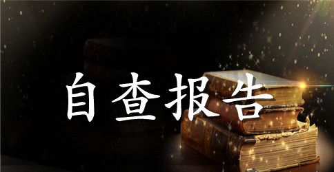 思想和精神文明创建工作自查报告