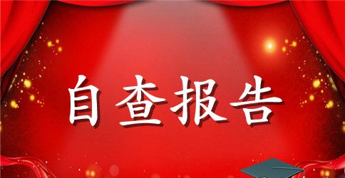 乡政府“四督四查”工作自查报告