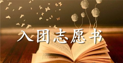 入团志愿书对团的认识600字【四篇】