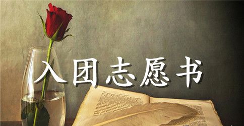 初中标准入团志愿书范文