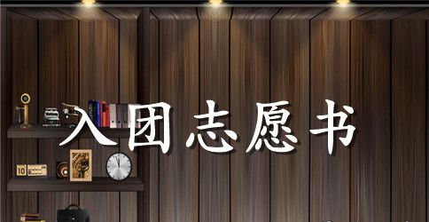 2023年初中入团志愿书900字