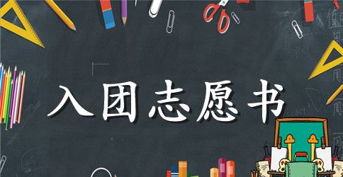 高中入团志愿书表格