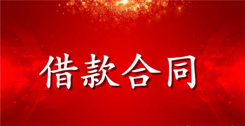 实用的个人借款合同范文汇编10篇