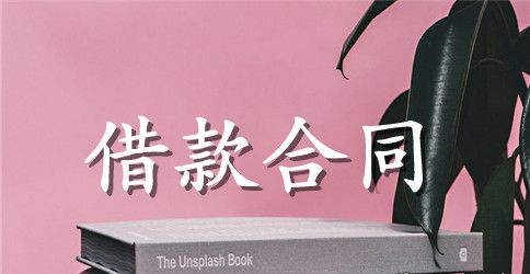 个人借贷合同书模板汇总