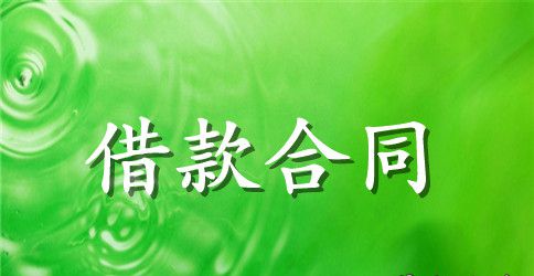 【精品】借款合同三篇