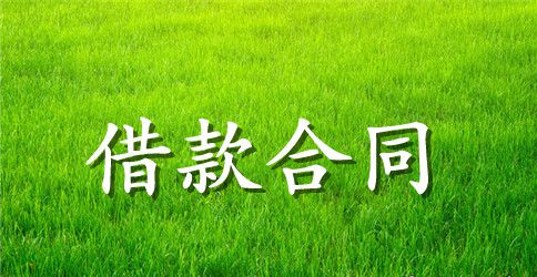 个人无抵押借款合同范本3篇
