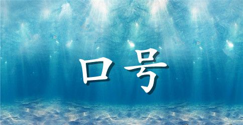 保险公司销售团队励志口号