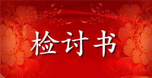 我的检讨书作文300字