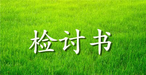 擅自做主检讨书范文