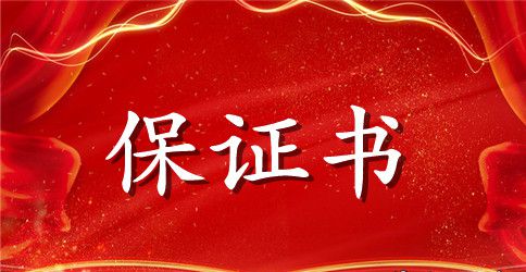 公司安全保证书范文2篇