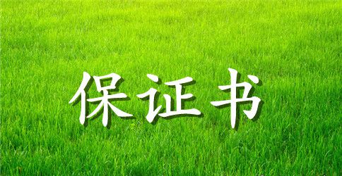 最新保证书格式怎么写
