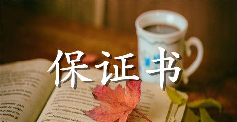 两则保证书范本