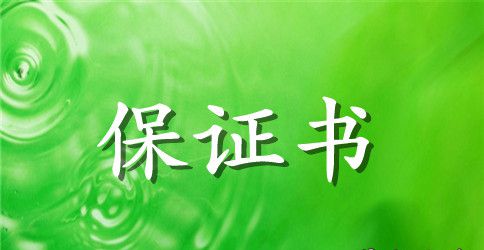 个人工作保证书范本