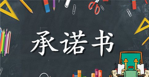 精选质量承诺书范文集锦10篇