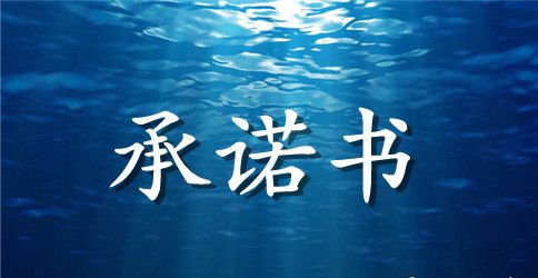 【精品】廉政承诺书四篇