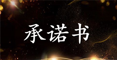 服务承诺书模板合集九篇