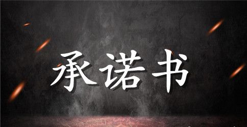 客运车辆驾驶员安全承诺书范文