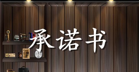 个人公开承诺书范文