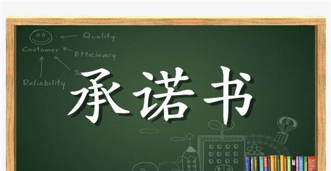 【必备】安全承诺书3篇