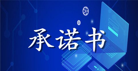 公司个人承诺书合集八篇