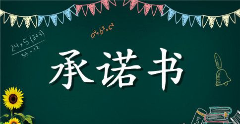保护网络信息安全的承诺书