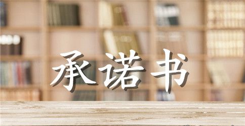 企业总经理承诺书