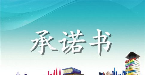 公司安全管理承诺书