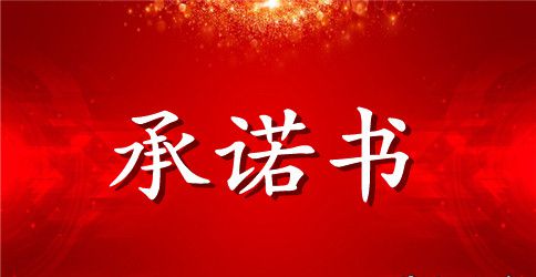 公开承诺书样本