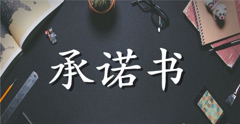 造价咨询服务承诺书