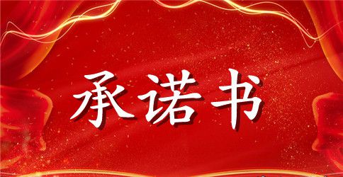 【必备】个人承诺书模板汇总七篇
