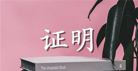 基层工作经历证明