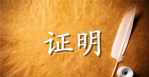 法人身份证明范文
