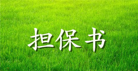 企业经济担保书范文