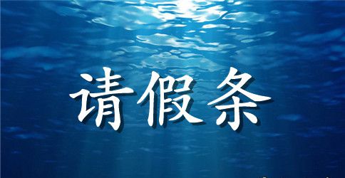 职工的人流手术请假条