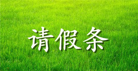 教师产假请假条格式范文【选集】