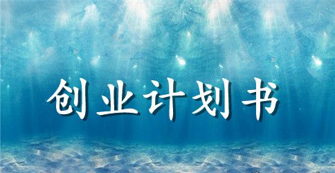 2023年syb服装创业计划书