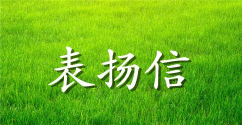 写给护士表扬信锦集七篇