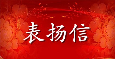 写给公司的表扬信