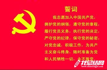 党员自我评议个人总结