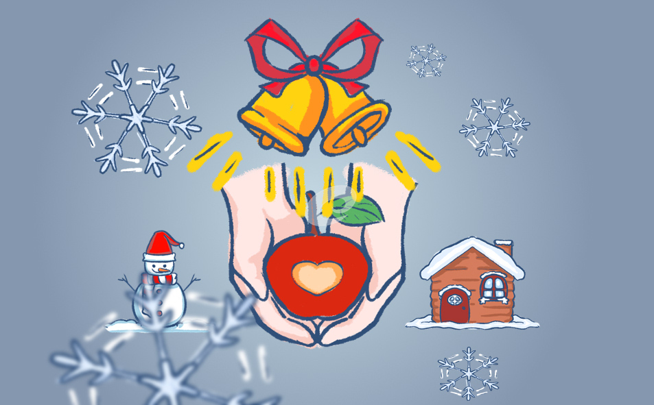 圣诞节的主题活动总结