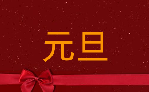 庆祝元旦的活动总结5篇