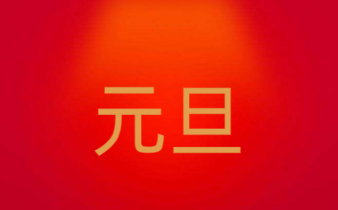 元旦节主题活动总结10篇