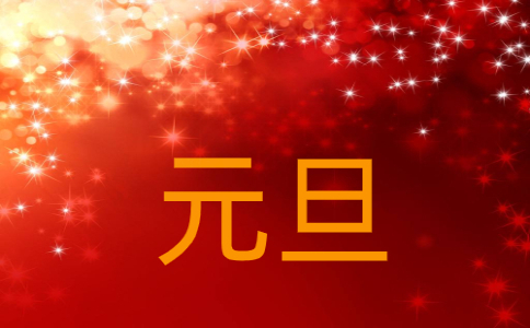 最新元旦节活动总结5篇