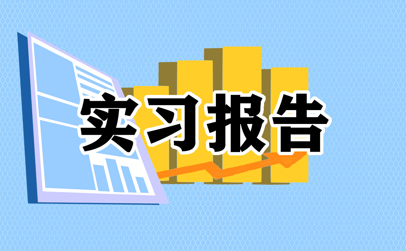 2022年大学生顶岗实习总结5篇