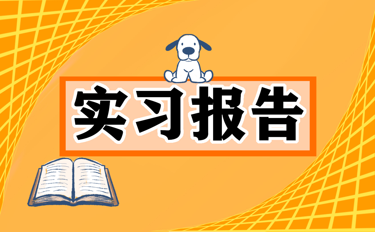 实习的个人总结十篇
