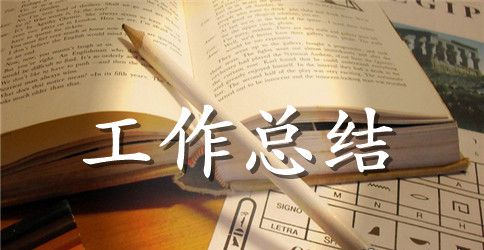 精选新人工作总结三篇