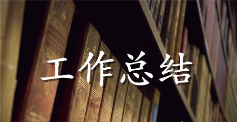 【必备】年终工作总结锦集9篇