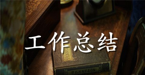 大学工作总结